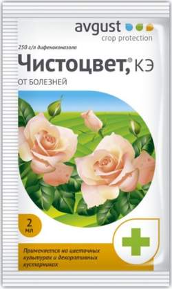 Чистоцвет — PlantMart