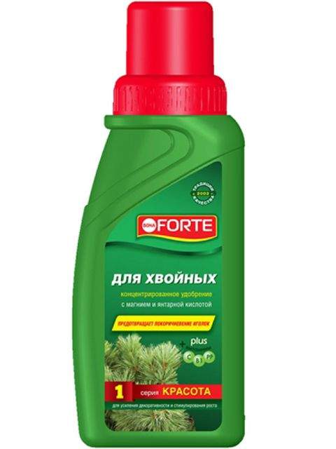 Bona Forte Для хвойных растений КРАСОТА цена 0 руб. фото 1 — PlantMart