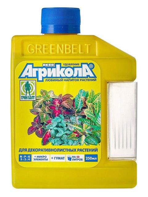 Агрикола для декоративнолиственных растений цена 0 руб. фото 1 — PlantMart