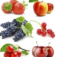 Плодовые деревья и кустарники