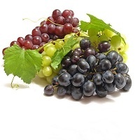Виноград