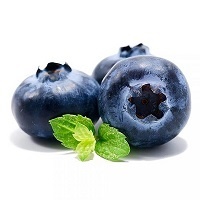 Голубика садовая