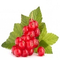 Смородина красная